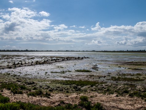 Day 5 - Aug 2007030-1